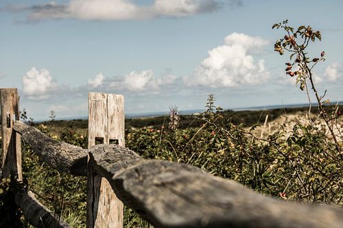 wooden beam