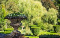 The castle garden from the steps Chateau Cortils