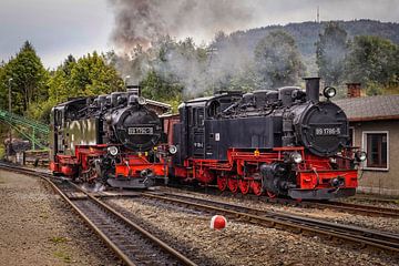 Locomotive à vapeur à voie étroite de la Fichtelbergbahn sur Rob Boon