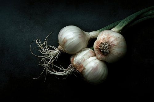 Garlic still life