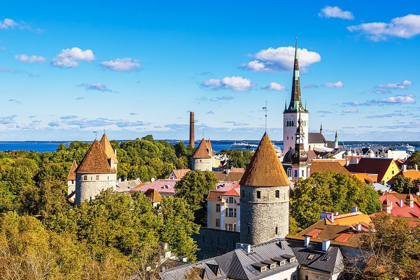 Blick vom Domberg auf die Unterstadt von Tallinn, Estland von Rico Ködder