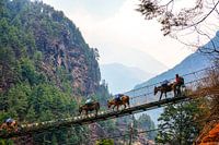 Suspension bridge on the way to Namche Bazaar
