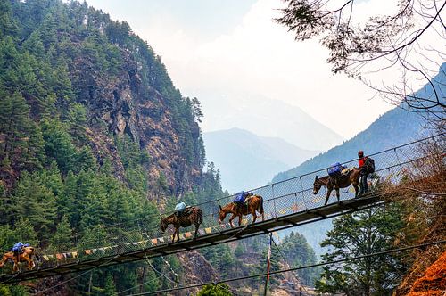 Pont suspendu sur la route de Namche Bazaar