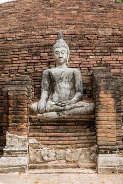Boeddha in de tempel van Thailand van Marcel Derweduwen
