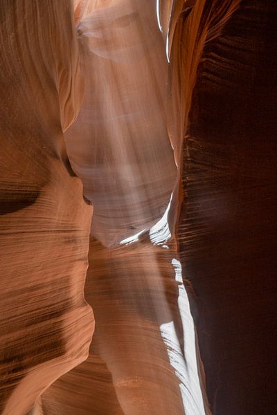 Beams of light in the canyon by Guy Lambrechts Photography