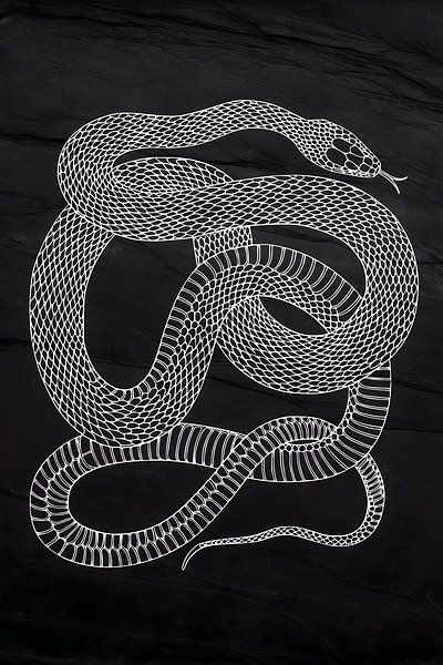 Serpent par NJ Midnight Studio