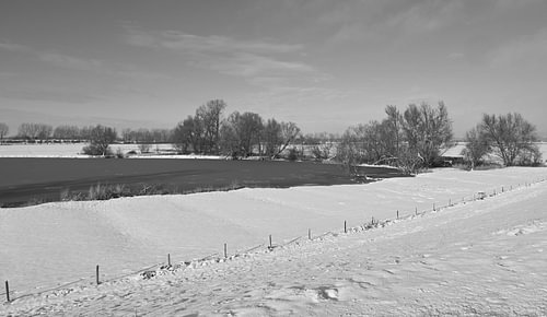 Winterstille am Wasser.