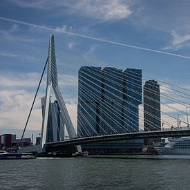 Erasmusbrug Rotterdam Nederland Europa van Max Stefens