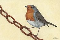 Roodborstje (Erithacus rubecula) van Helga Pohlen - ThingArt thumbnail