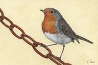 Roodborstje (Erithacus rubecula)