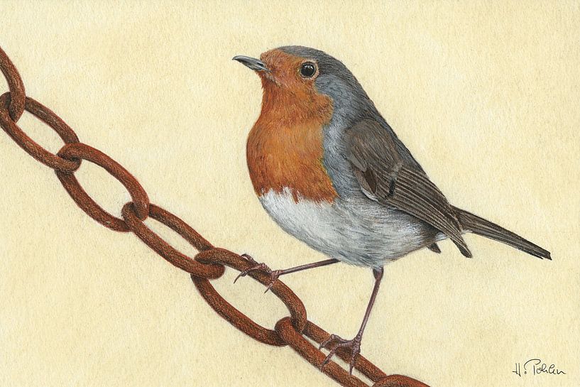 Roodborstje (Erithacus rubecula) van Helga Pohlen - ThingArt
