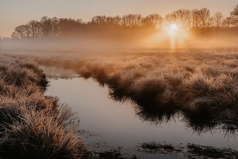 Golden hour in winter by Marloes Mol