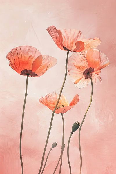 Mohn von Poster Art Shop