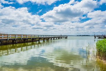 Steg am Bodden auf dem Fischland-Darß in Wiek von Rico Ködder