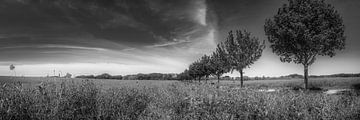 Landschap in Noord-Duitsland aan de Oostzee in zwart-wit van Manfred Voss, Zwart-Wit Fotografie