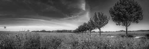 Landschap in Noord-Duitsland aan de Oostzee in zwart-wit