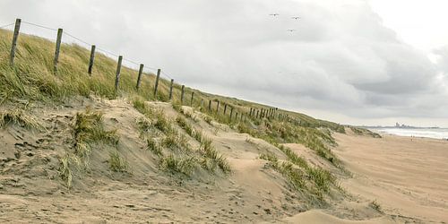 duinen van katwijk