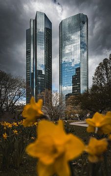 Frankfurt am Main Architectuur. van Pitkovskiy Photography|ART