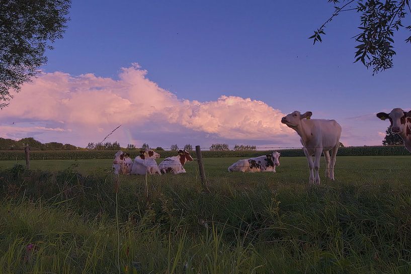 Buienluchten met koeien op de voorgrond by Leon Eikenaar