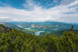 Flowery views over the Upper Bavarian Alps and Lake Steinersee by Leo Schindzielorz