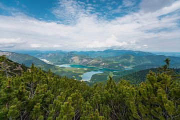 Blumige Aussichten über den Oberbayerischen Alpen und Steinersee von Leo Schindzielorz
