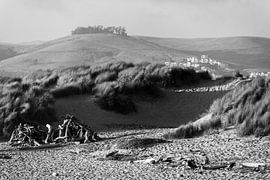 Wilde grasduinen monochroom - Morro Bay Californië van Joseph S Giacalone Photography