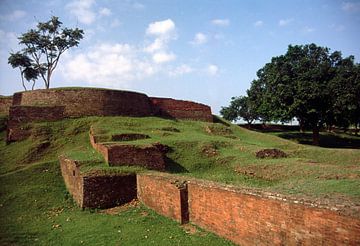 Mahastangarh van Richard Wareham