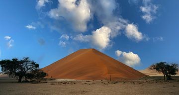 Duin in Sossusvlei in Namibië, Afrika van Patrick Groß