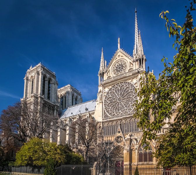 Cathedral Notre Dame in Paris by Christian Müringer