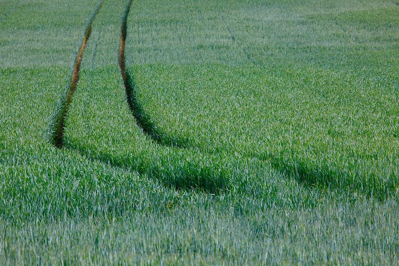 Field by Thomas Jäger