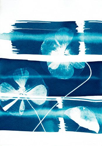 Abstract blauwe klaprozen