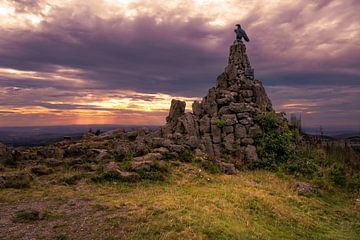 Airmen's Monument on the Wasserkuppe Mountain van Raphotography