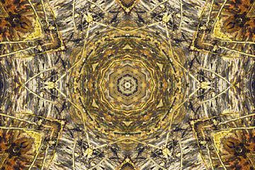 Abstract kaleidoscope van fb-fotografie