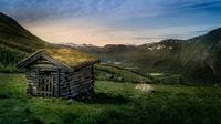Norwegische Salbei