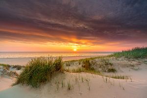 Texel Strand Paal 17 schöner Sonnenuntergang