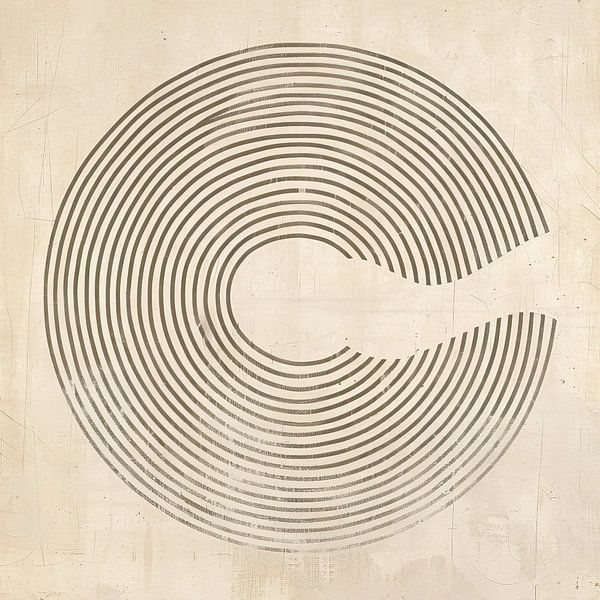 Circle | Circles by Modern Collection