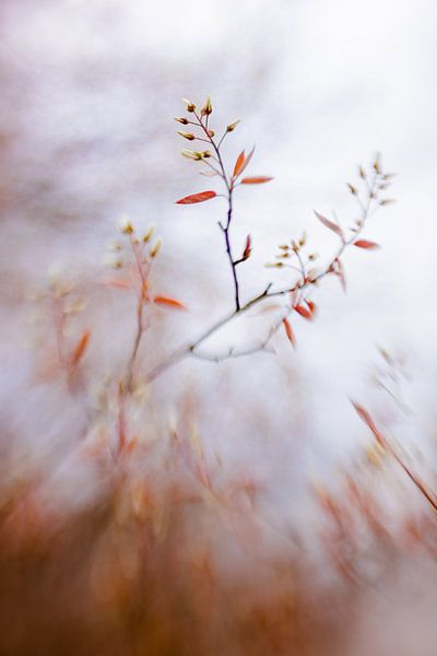 Open Mind by Hiske Boon