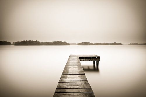 Simplescape