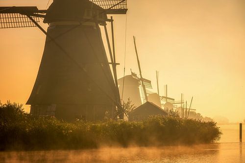 Moulins de Kinderdijk à l'aube