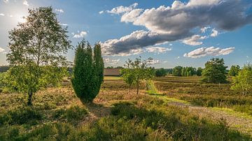 Wanderlust von Dieter Rabenstein