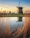 Molens bij Schermerhorn van Bart Hendrix thumbnail