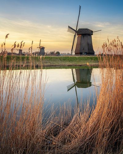 Windmills near Schermerhorn