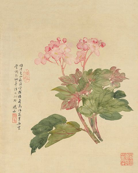Liang Yuwei - Bloemen Pl.09 van Peter Balan