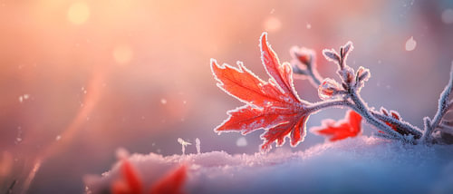 Ice-cold autumn leaves in the snow