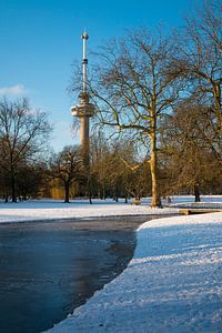 L'Euromast - hiver 2 sur Nuance Beeld