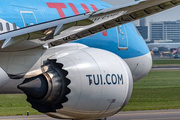 TUI Boeing 787-8 Dreamliner (PH-TFM). van Jaap van den Berg