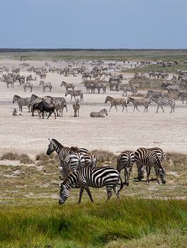 Black and white, repeated endlessly.