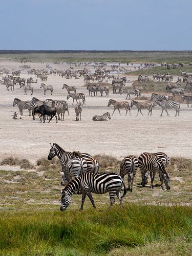 Zwart en wit, eindeloos herhaald