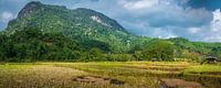 Panorama platteland Noord-Laos van Rietje Bulthuis thumbnail