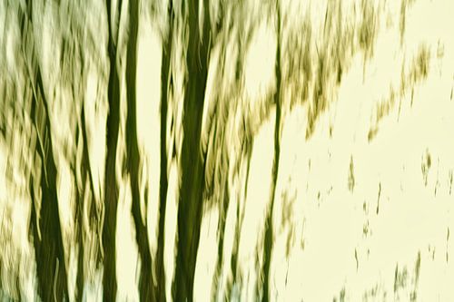 Verticale beweging in de natuur